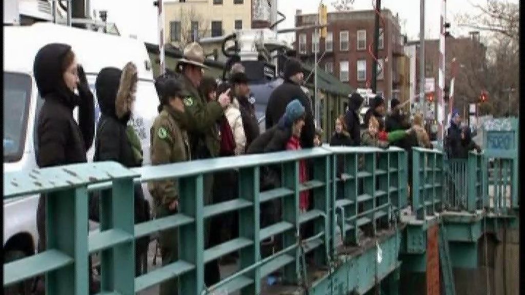 Muere un delfín en el Canal de Gowanus
