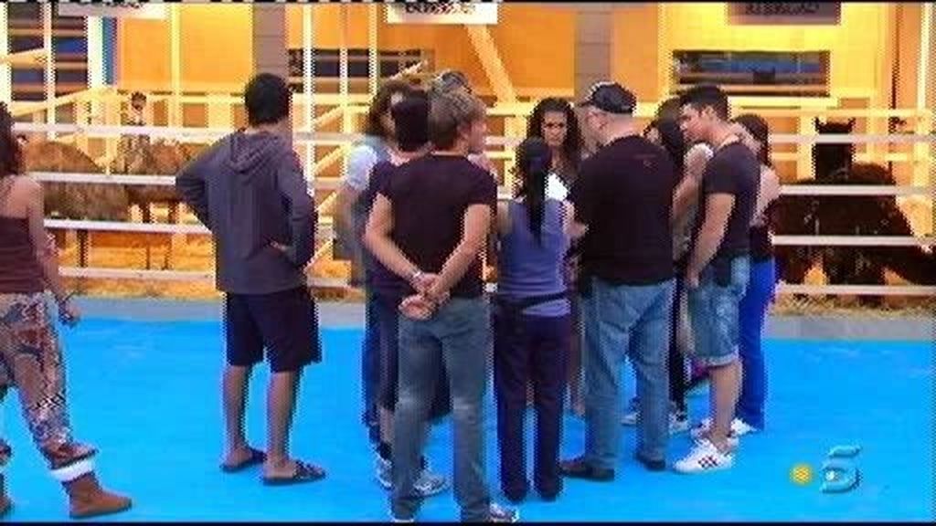 Primera prueba de 'GH 12+1'