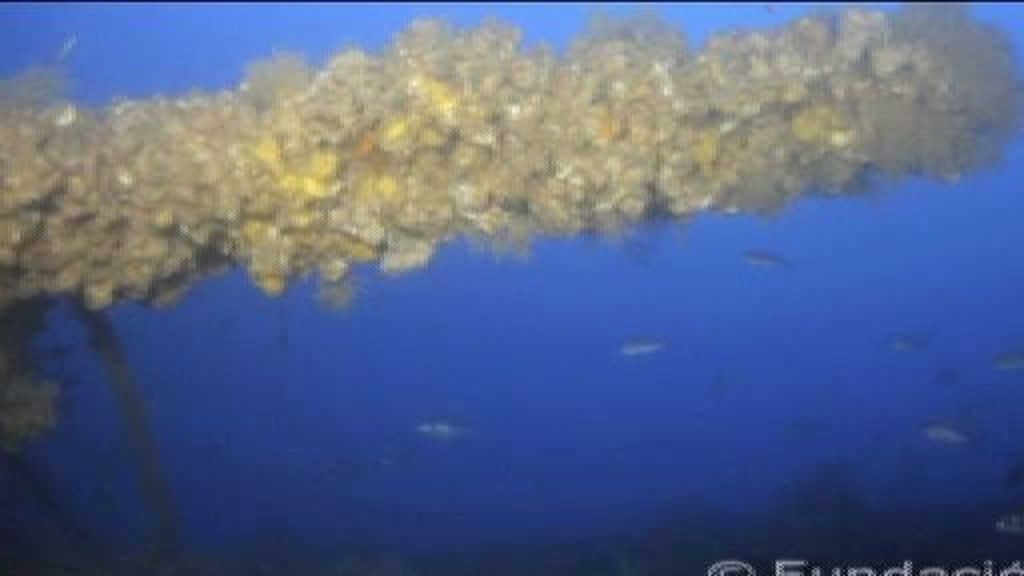 Hallan un submarino nazi oculto en aguas de Calpe