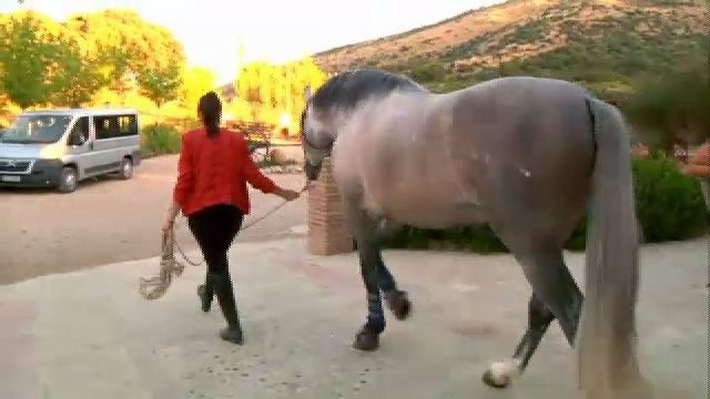 Un paseo a caballo