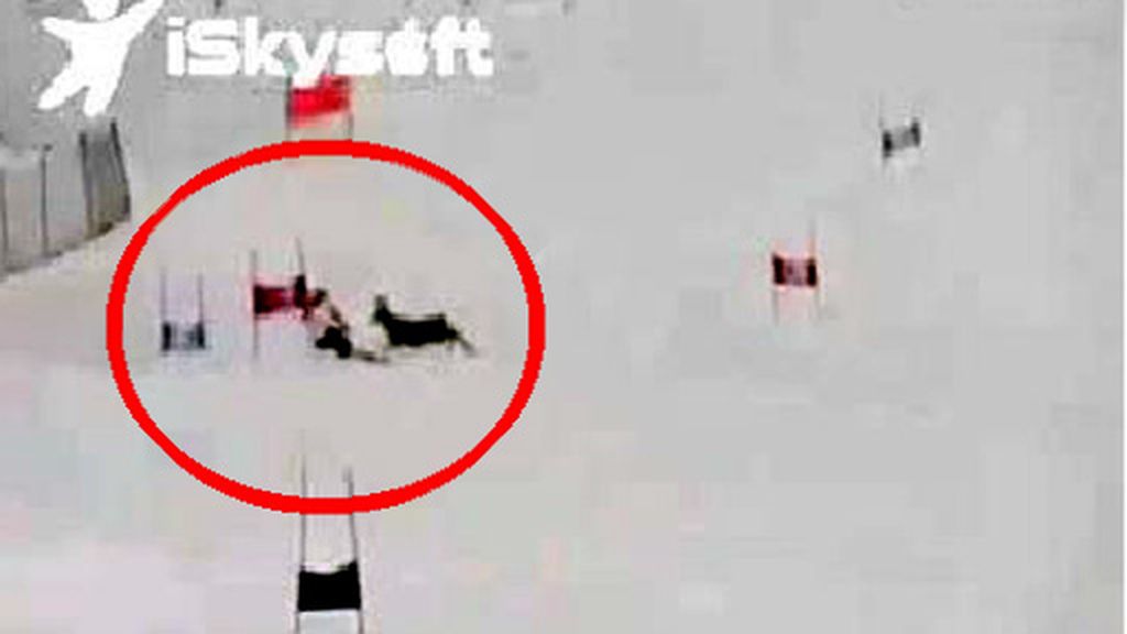 Incidente en la pista de esquí entre un ciervo y un esquiador