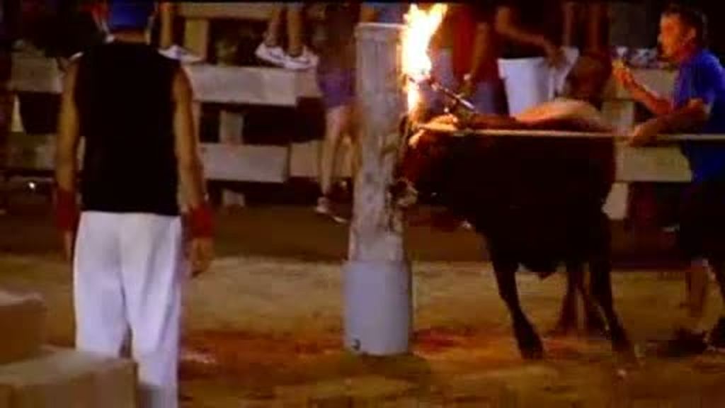 Toros entre fuego y polémica