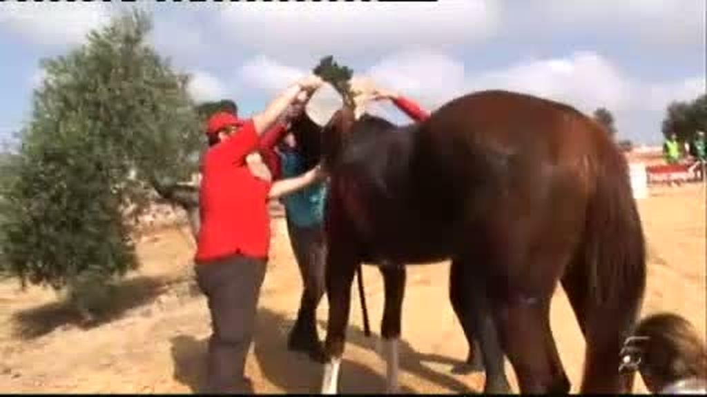 Raid de caballos por Andalucía