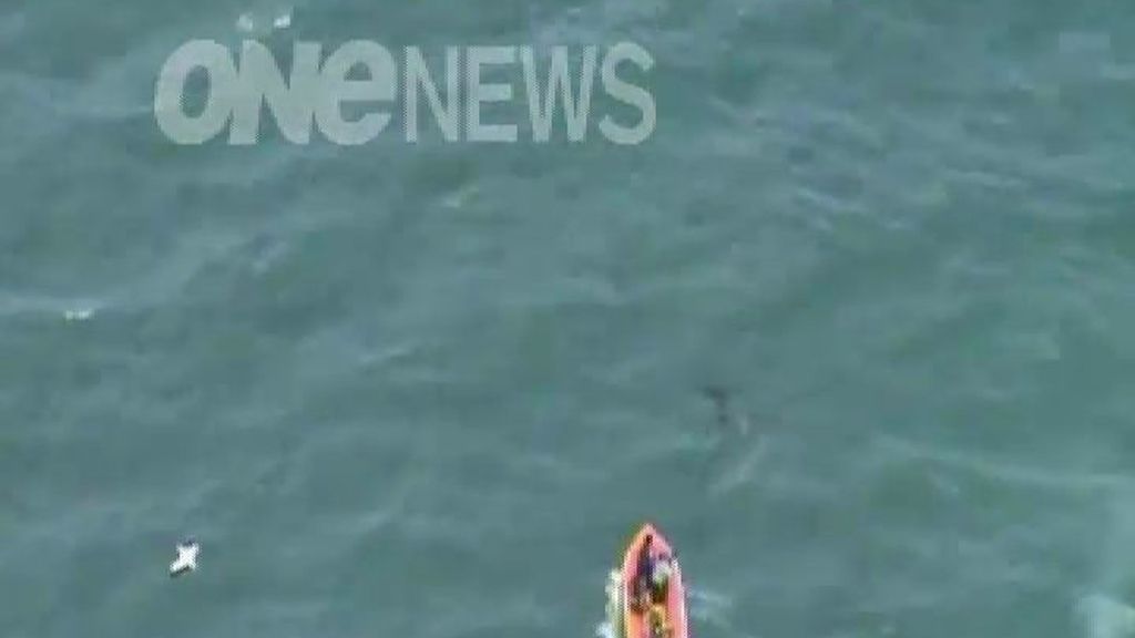 Ataque mortal de un tiburón en Nueva Zelanda