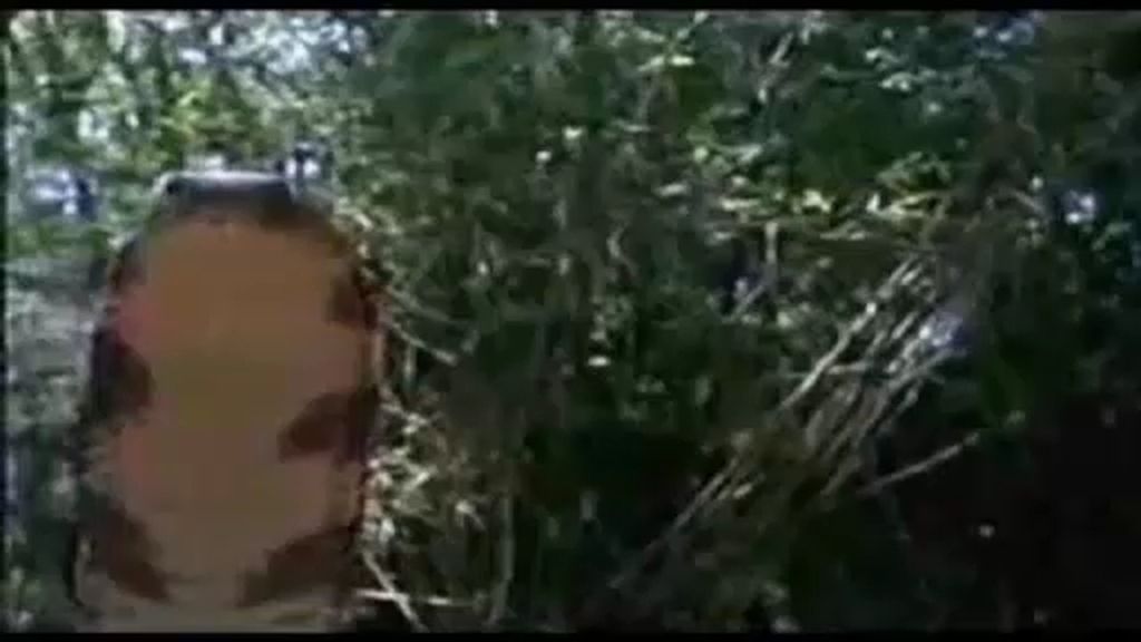 Muere mordido por su serpiente