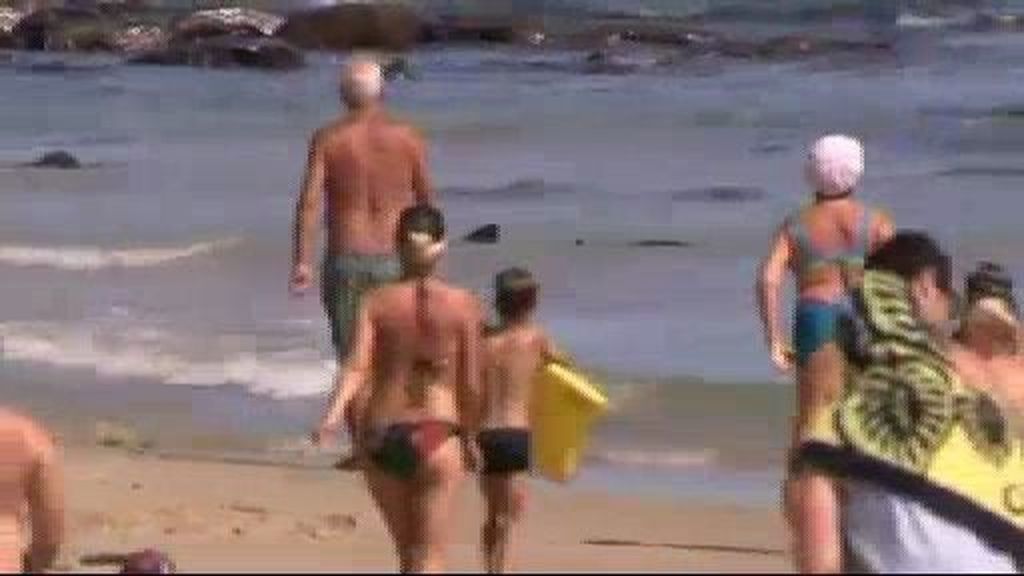 Un bañista rescata a un tiburón que se acercó demasiado a una playa Un bañista rescata a un tiburón que se acercó demasiado a una playa