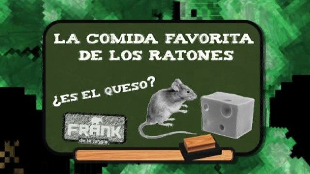 ¿Cuál es la comida preferida del ratón?