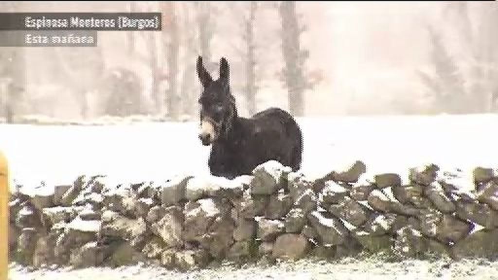 La nieve llega por fin a España