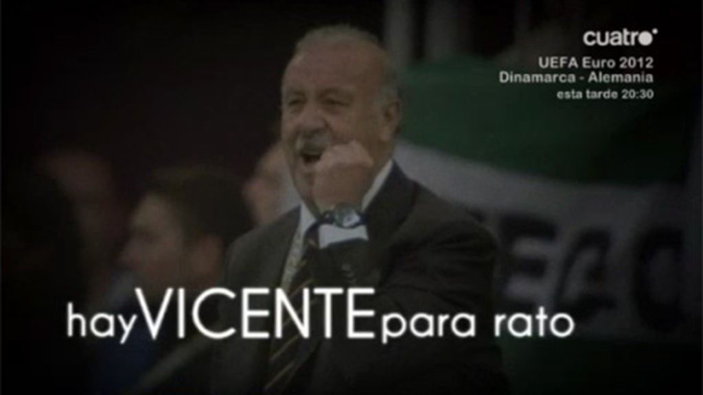 Vicente Del Bosque nos llevará en 2014 al mundial de Brasil
