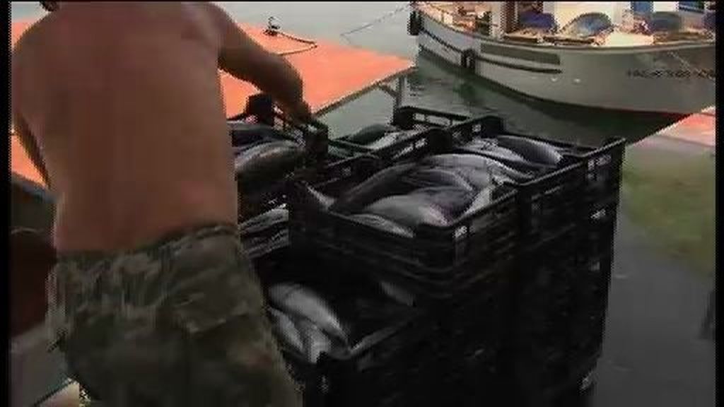 Los pescadores están dispuestos a sacar los bloques de hormigón de Gibraltar