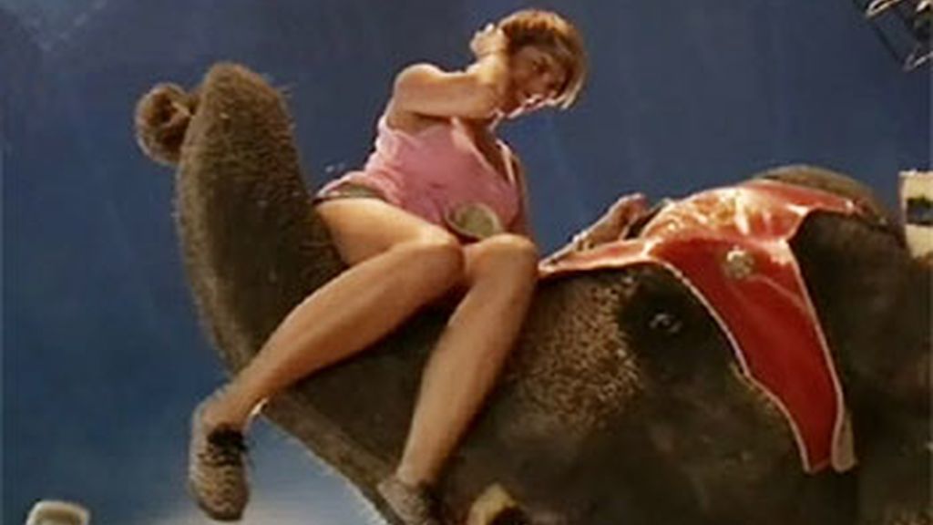 Marina se sube a un elefante