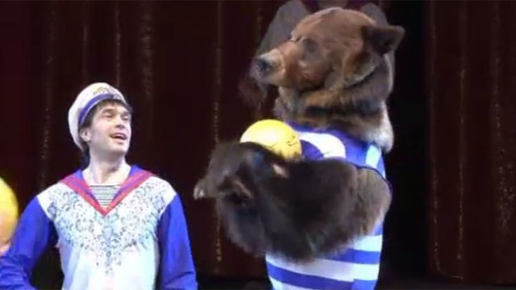 Los osos, auténticas estrellas en el circo Bolshoi