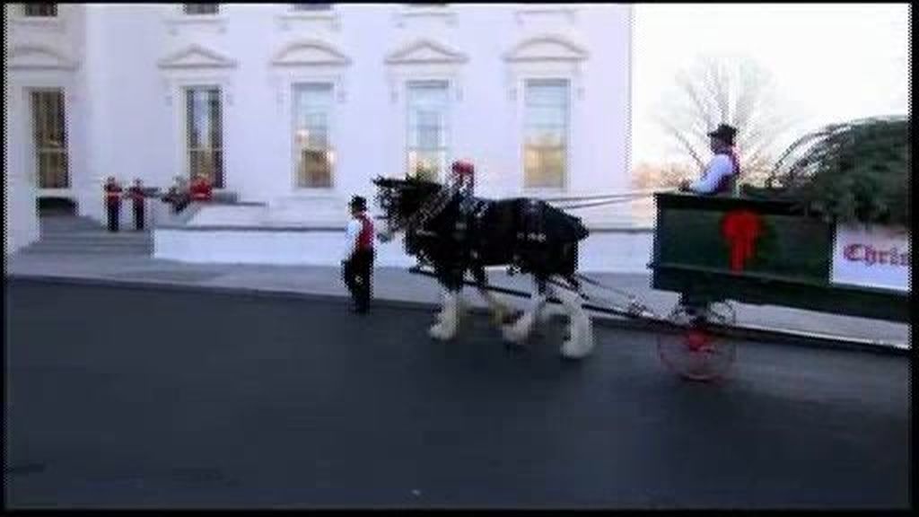 La familia Obama recibe su árbol de Navidad