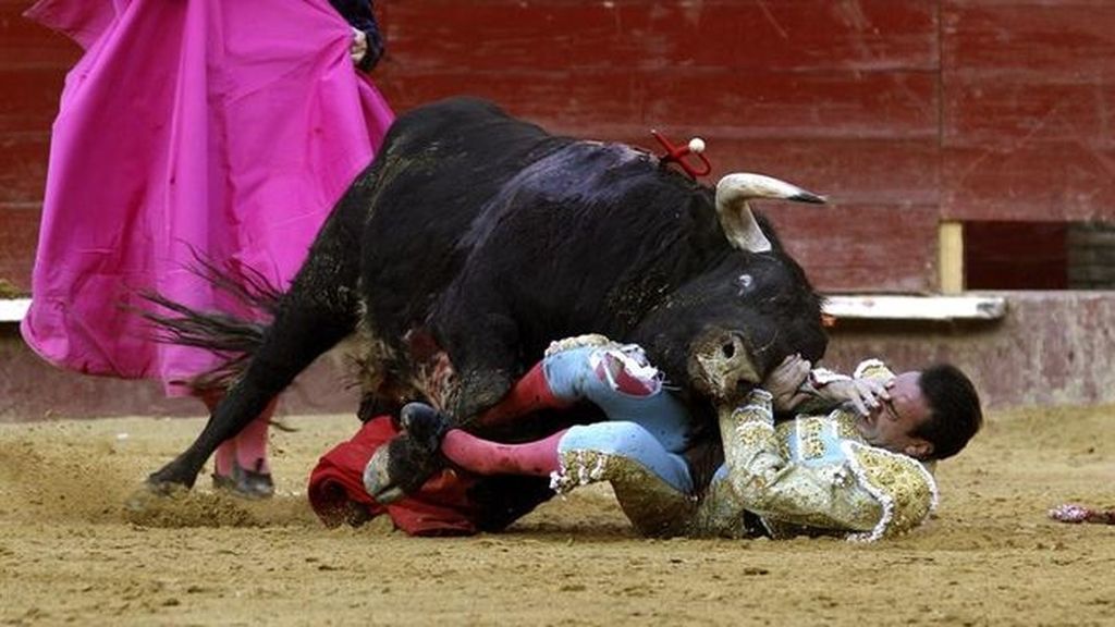 Enrique Ponce, corneado en la Feria de Fallas