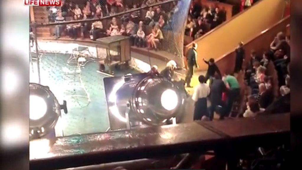 Una pantera negra ataca a una mujer en un circo ruso