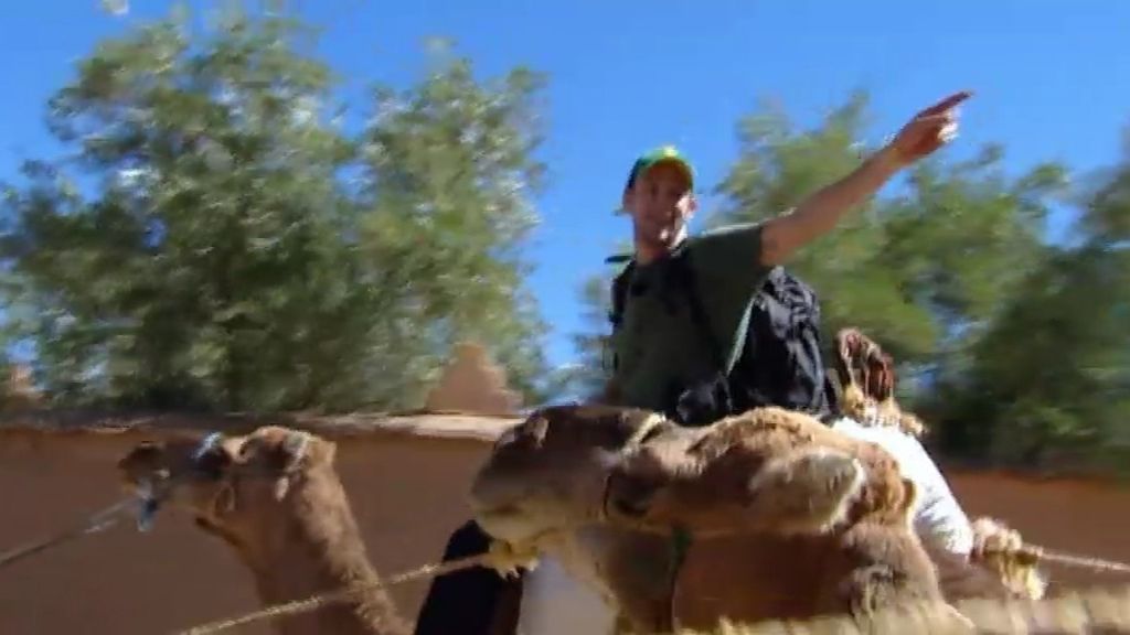 Bronca entre Álex y Rafa Amargo en la carrera de camellos