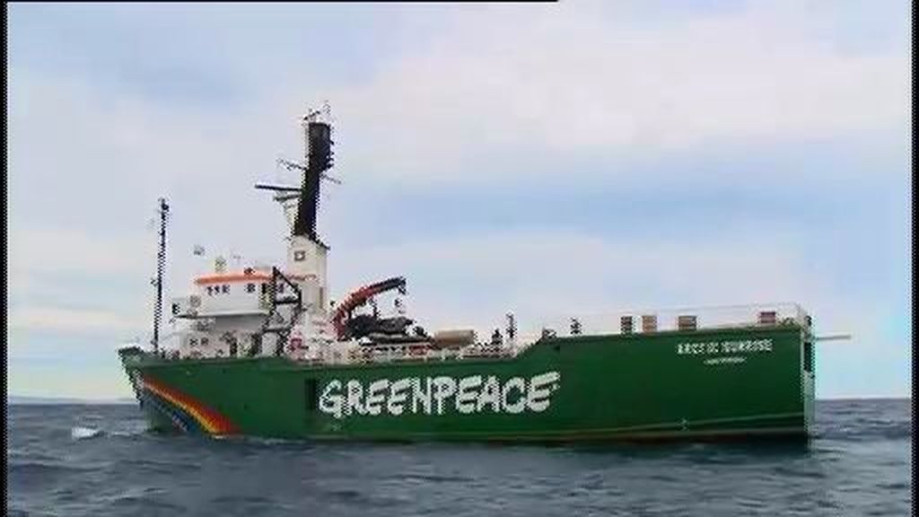 Así trabajan los activistas de Greenpeace en alta mar