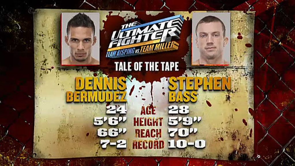 Dennis vs. Stephen