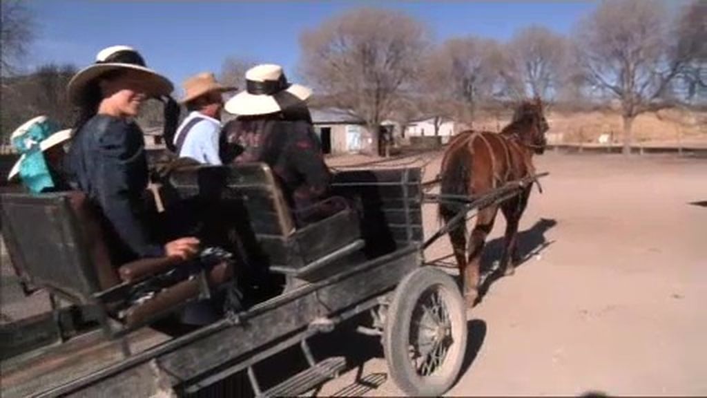 A hacer la compra... ¡en carro!