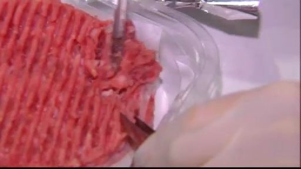 El Gobierno confirma un positivo de carne de caballo en canelones con relleno de carne