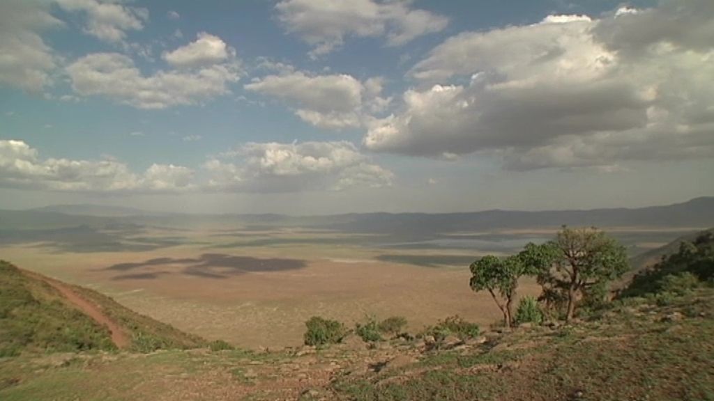 Ngorongoro, el arca de Noé