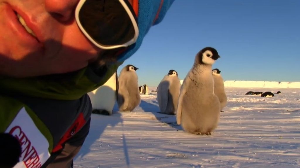 Avance: Especial Desafío en la Antártida