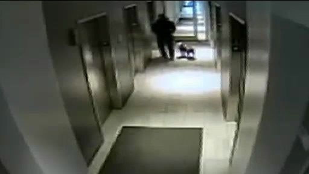 Un perro se salva de milagro de morir aplastado por un ascensor