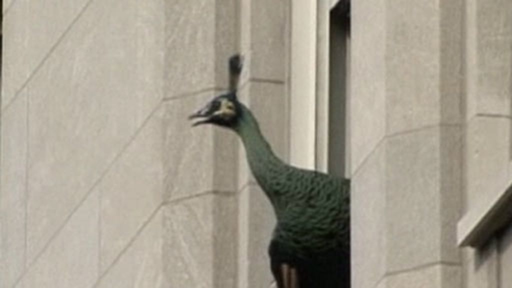 Un pavo real en la Quinta Avenida