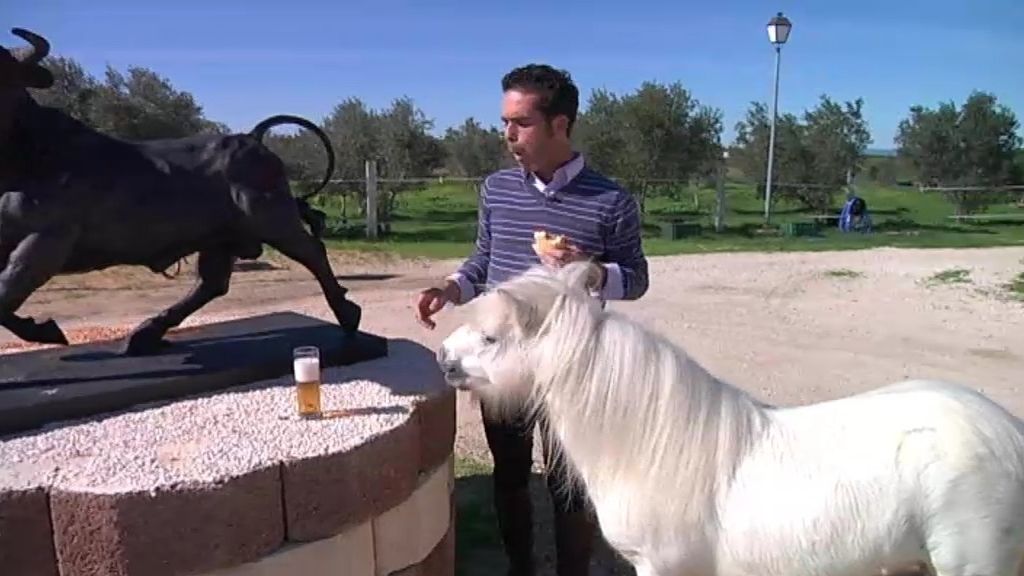 Jazmín, un pony adicto a la coca-cola y al chorizo