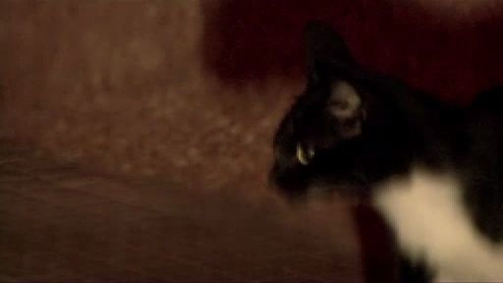 ¿Rajoy trae mala suerte?