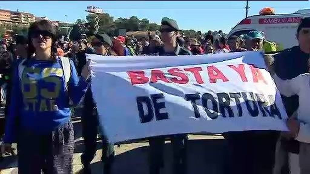 El Toro de la Vega de Tordesillas, entre protestas y heridos por asta