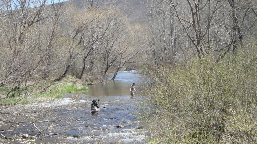 Ribagorda aprende a pescar truchas en el río Esla