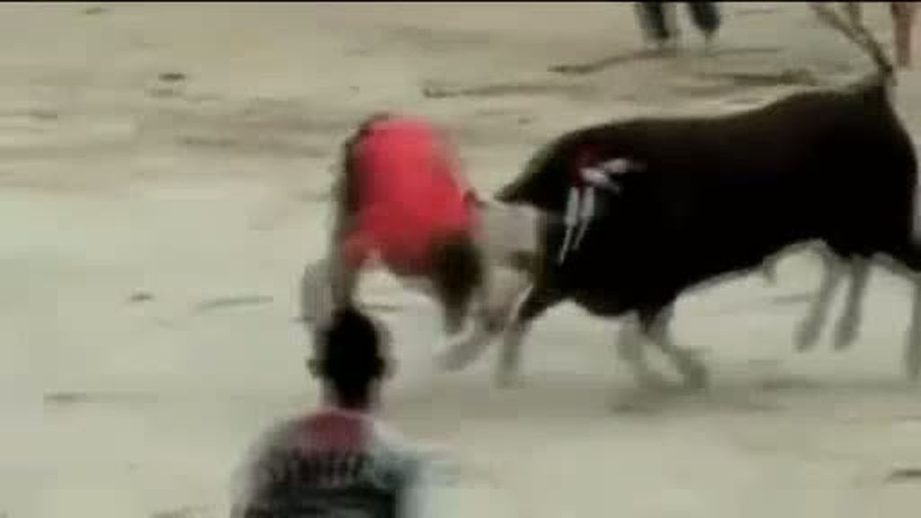 Muere embestido por un toro