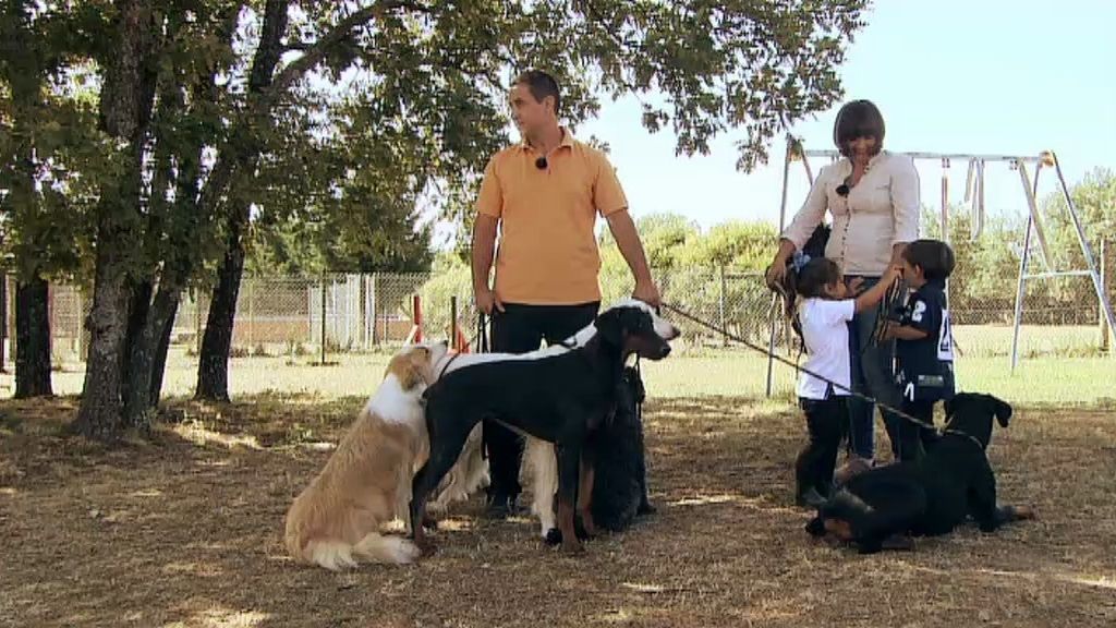 ¡Una familia con diez perros!