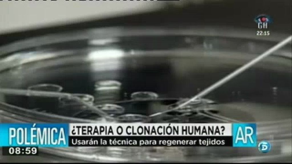 Se clonan por primera vez células madre embrionarias