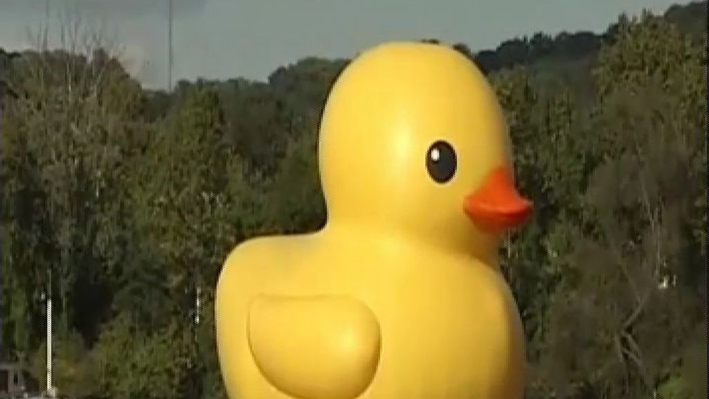 El pato gigante de Hofman llega a Pittsburgh