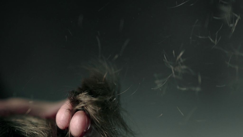 Dabiz Muñoz llega a Cuatro con 'El Xef'