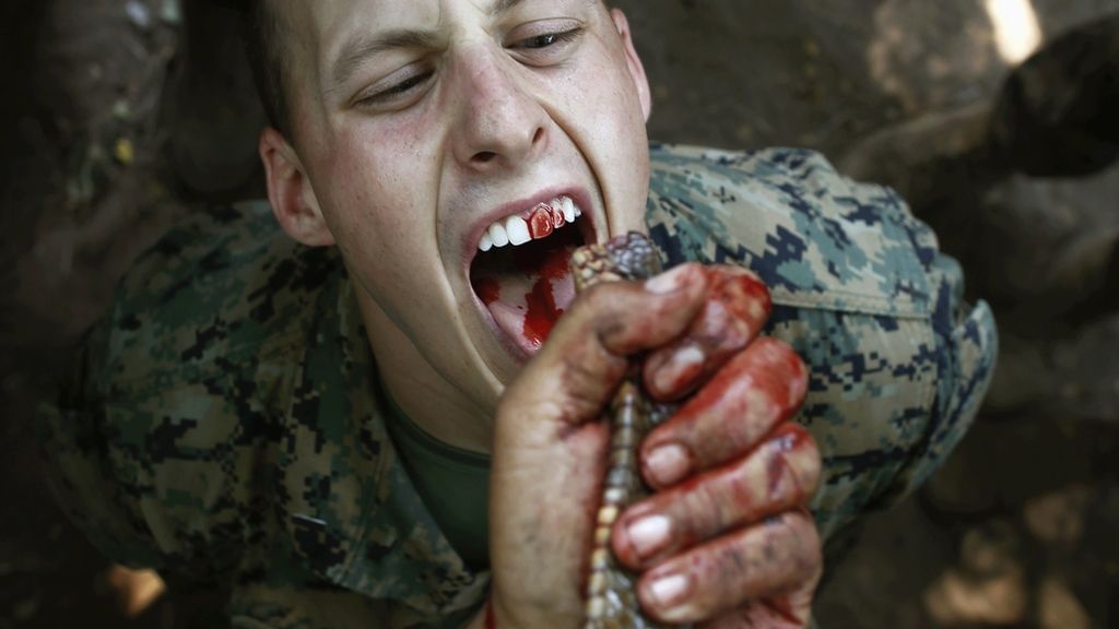 La sangre de cobra como técnica militar de hidratación
