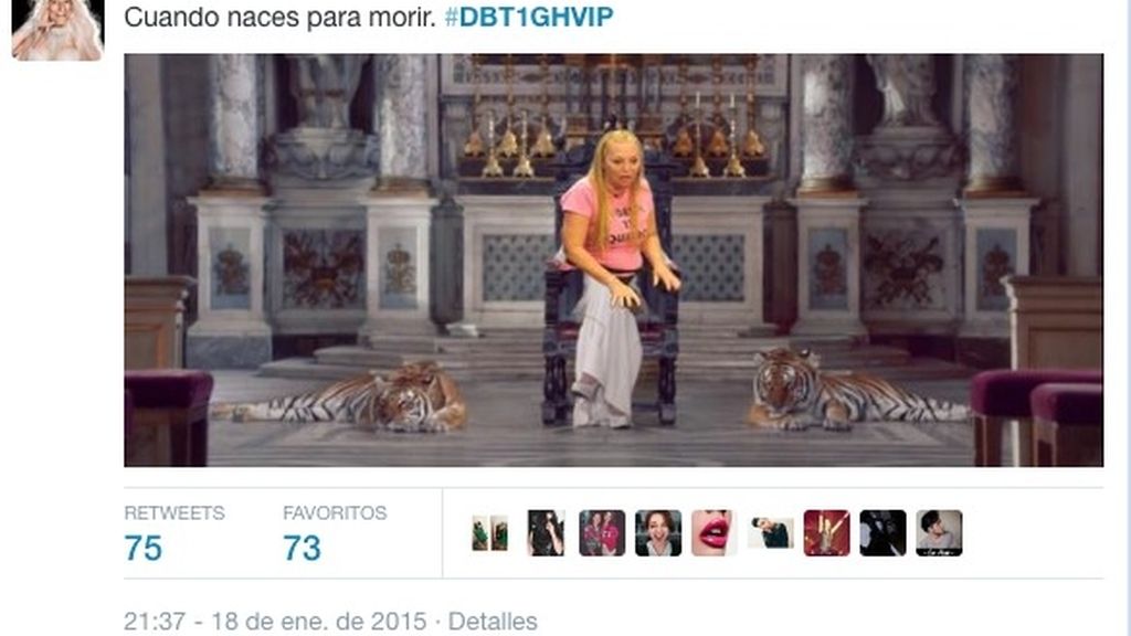 Memes en la red