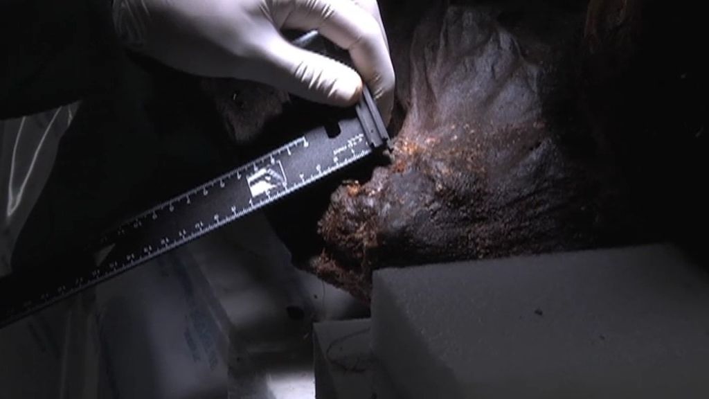 Los forenses analizan la momia del general Prim