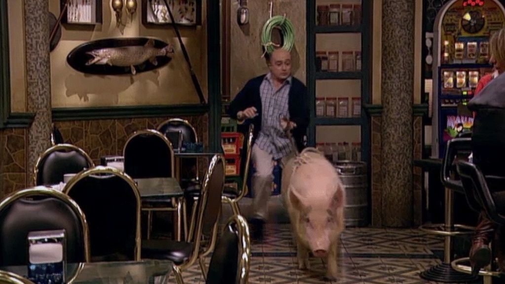 El cerdo de Mauricio