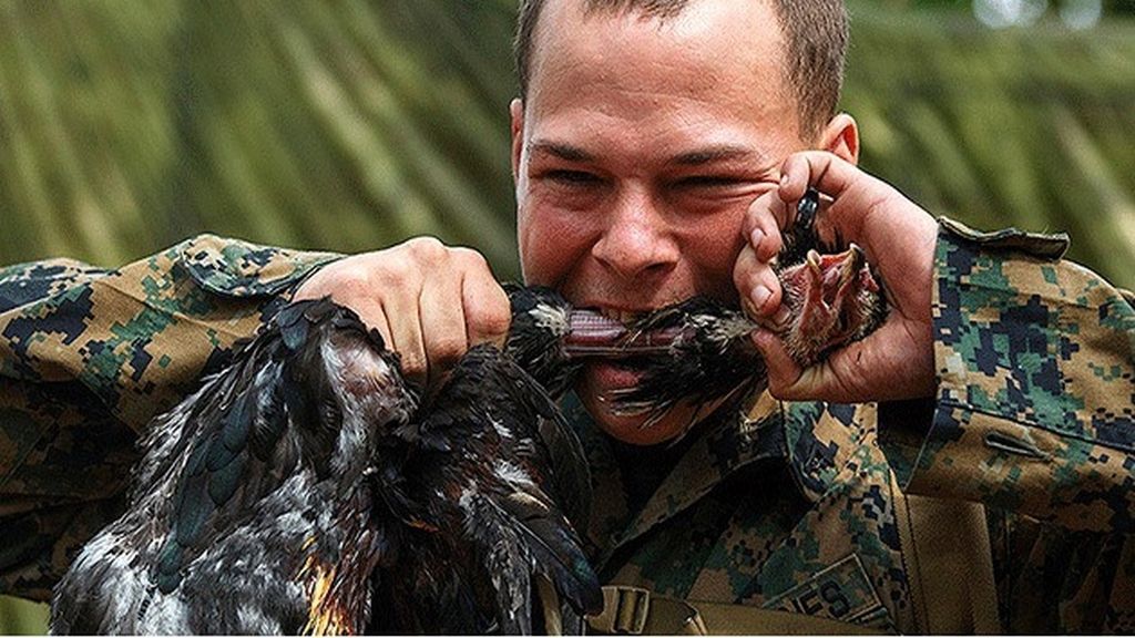 La sangre de cobra como técnica militar de hidratación