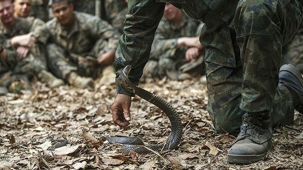 La sangre de cobra como técnica militar de hidratación