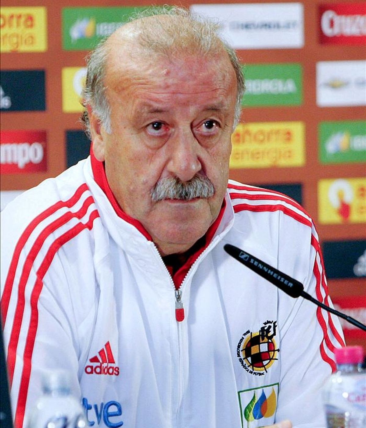 El entrenador de la selección española de fútbol Vicente del Bosque. EFE/Archivo