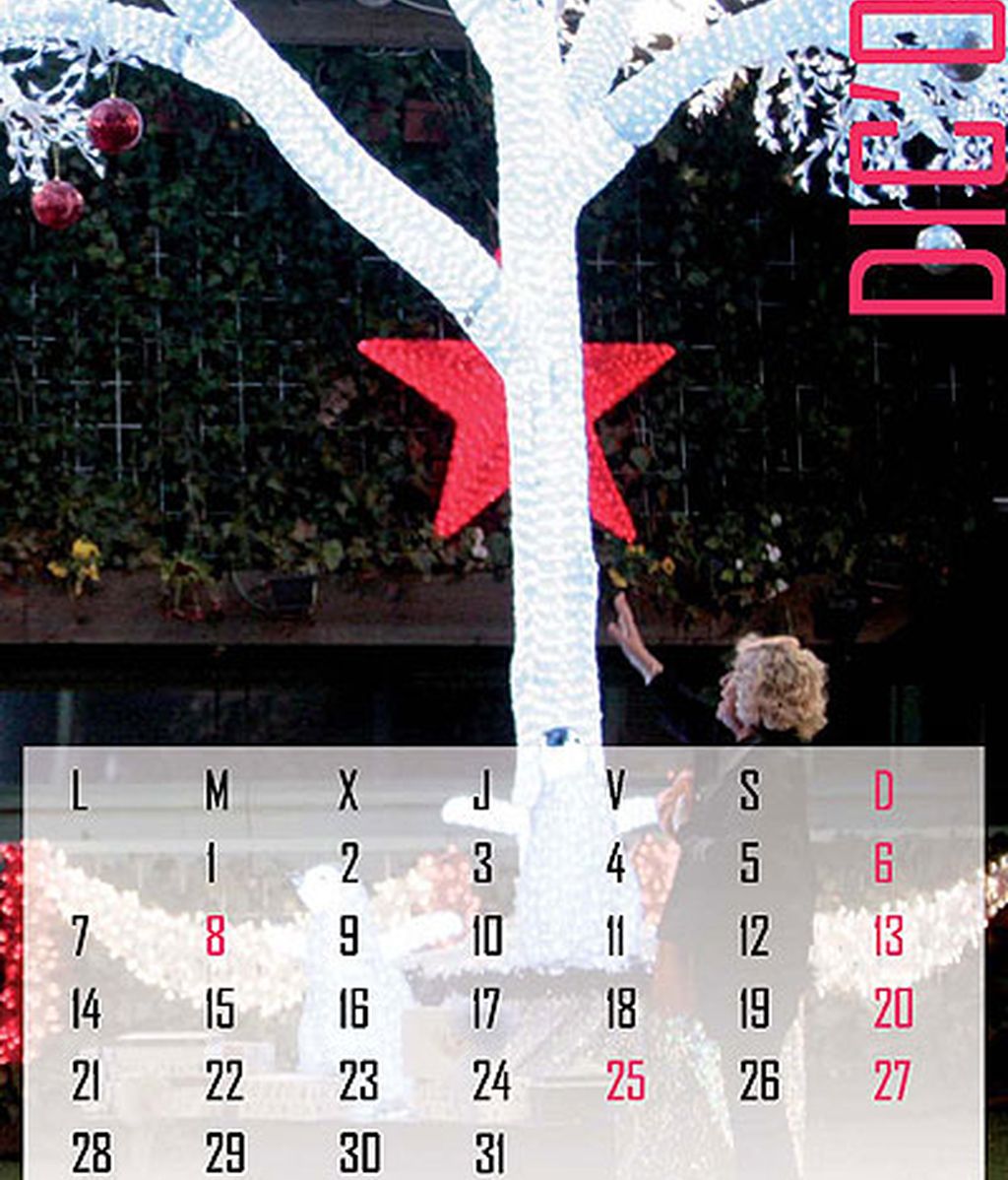 Calendario 2009