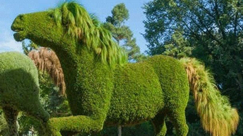 El arte de la jardinería ornamental