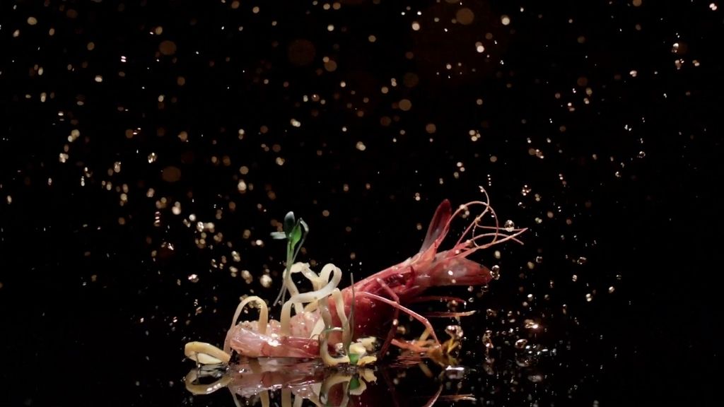 Dabiz Muñoz llega a Cuatro con 'El Xef'