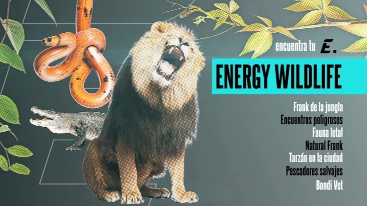 Animales salvajes, personajes únicos y naturaleza, en 'Energy Wildlife'