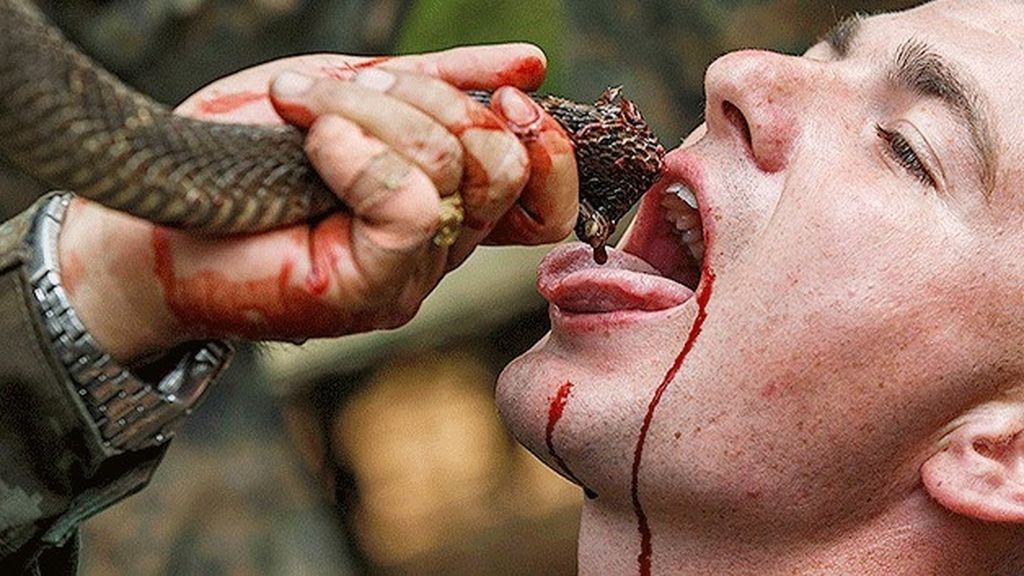 La sangre de cobra como técnica militar de hidratación