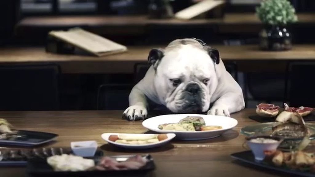 Mad se presenta en la web